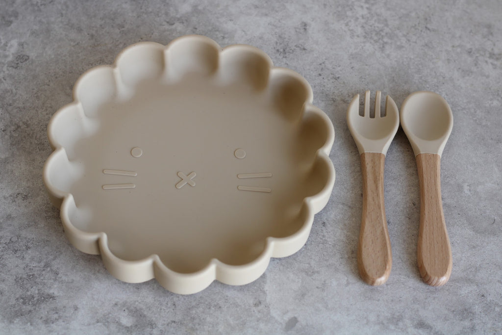 Biscuit Children's 3 piece suction plate set